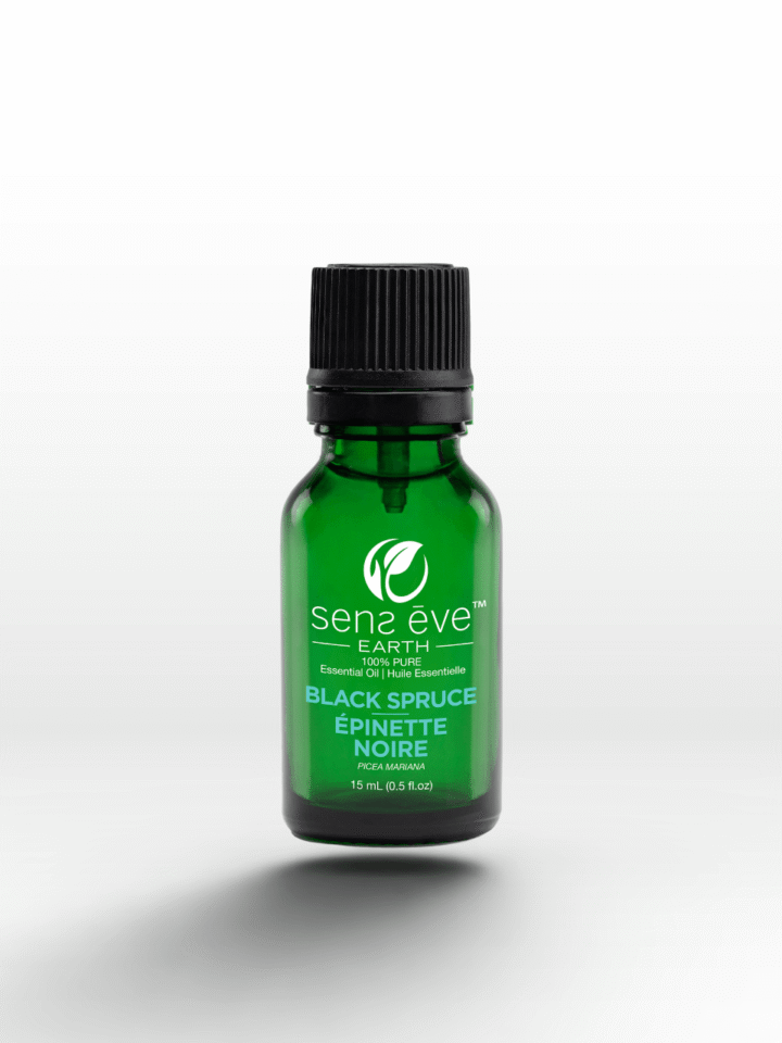 Black Spruce Essential Oil